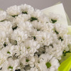 Букет из 11 белых кустовых хризантем