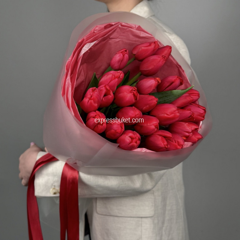 Тюльпаны "Красный бархат"